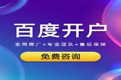 案例分析：SEM推广助力行业竞争突围