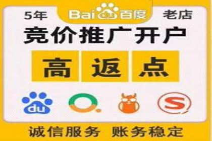 百度竞价推广运营策略：成功案例解析